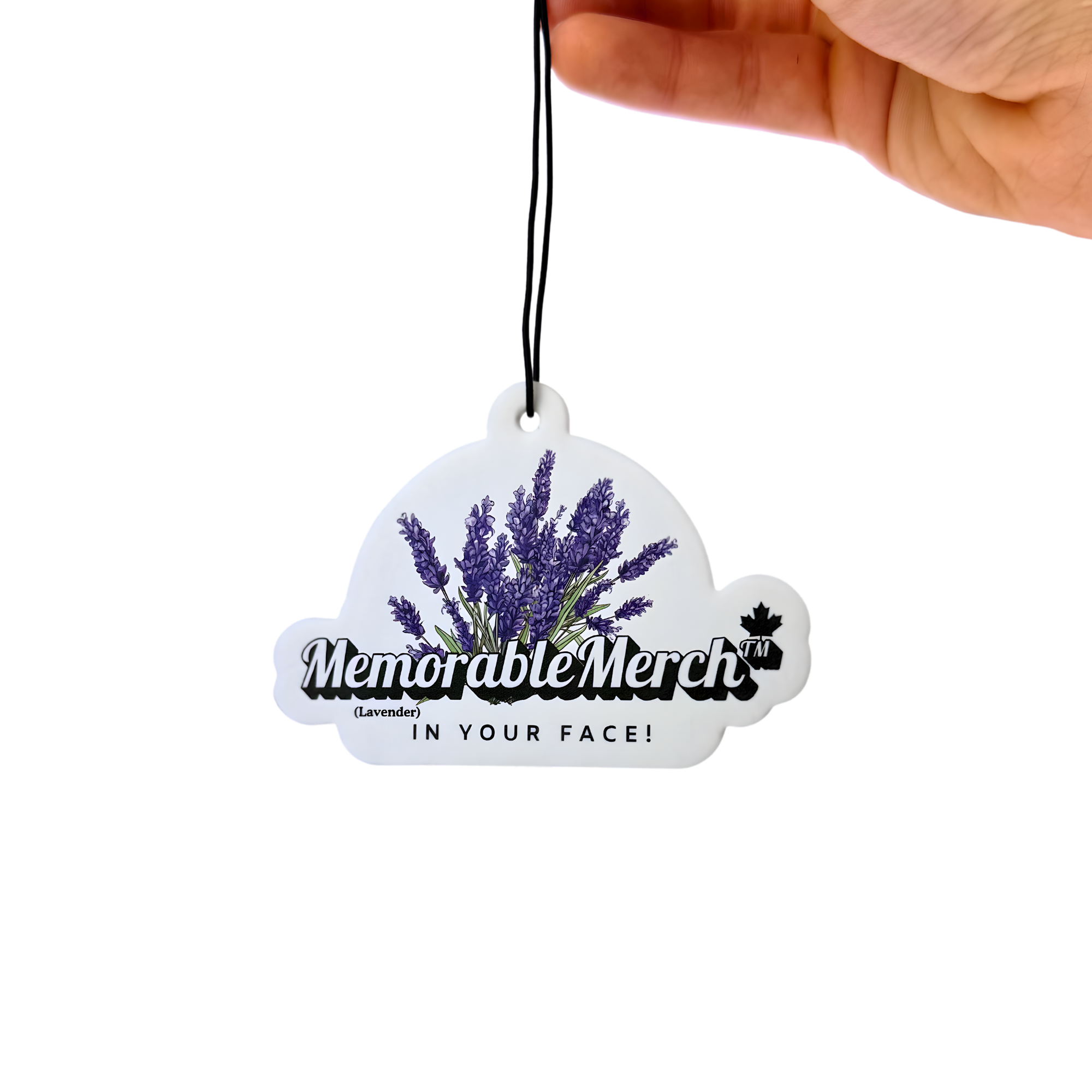 Car Freshener Scent Sample Pack